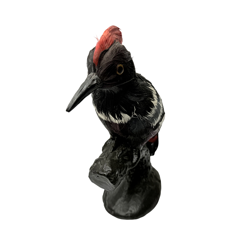 Múnla insamhalta ainmhithe trealamh oideachais eiseamal samhail woodpecker